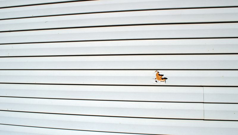 Fixing Warped Vinyl Siding